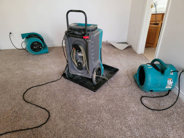 Best Local water damage restoration  in Sheridan, AR