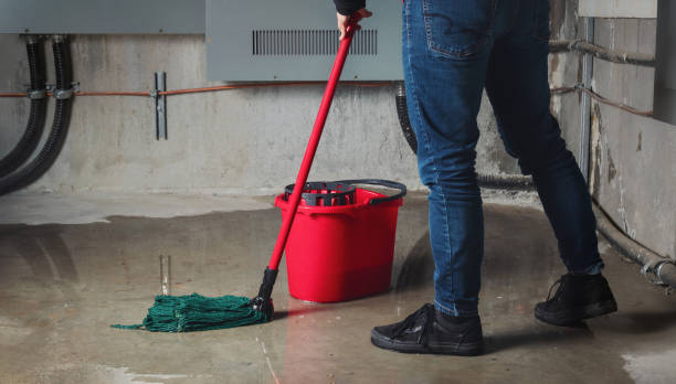 Best Emergency water damage restoration  in Sheridan, AR