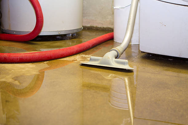 Best Water damage restoration mold remediation  in Sheridan, AR