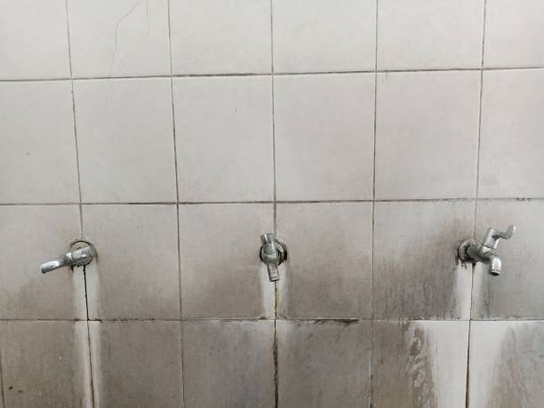 Best Mold removal after water damage  in Sheridan, AR