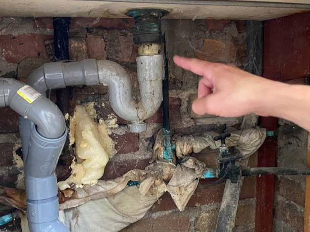 Best Carpet water damage restoration  in Sheridan, AR