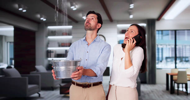 Best Water damage mitigation services  in Sheridan, AR