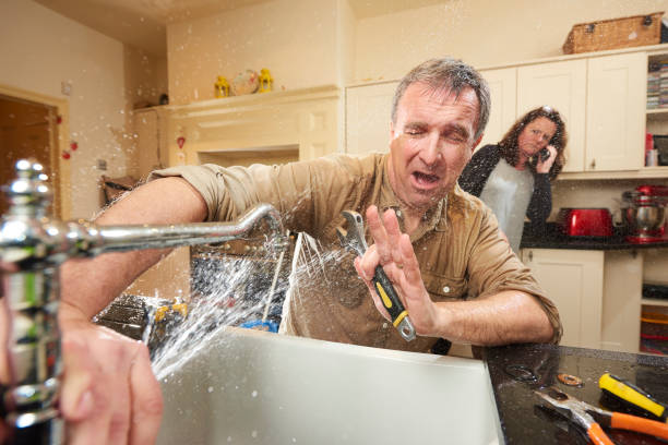 Best Water damage contractors near me  in Sheridan, AR